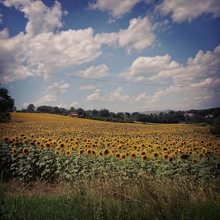 Valcastagno Relais & Residence Sirolo Dış mekan fotoğraf